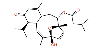 Dihydrovaldivone A
